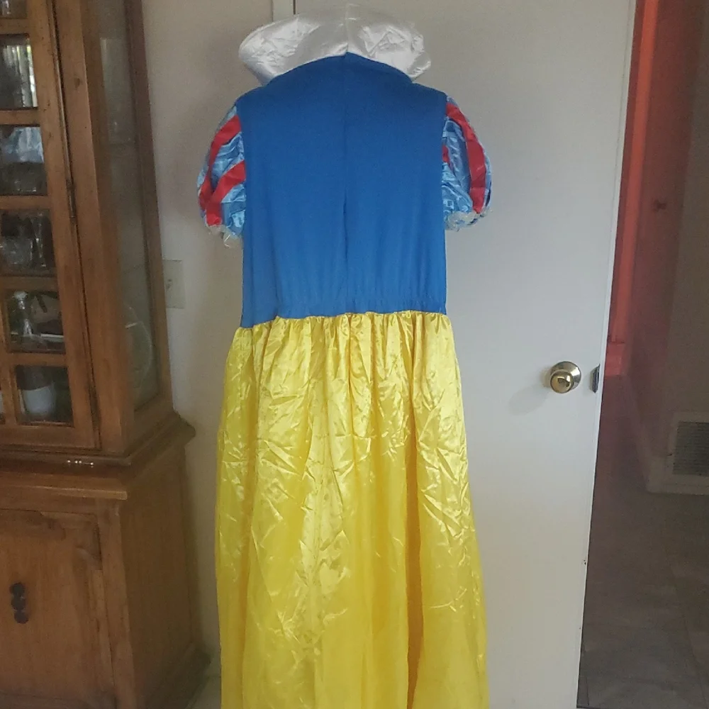 Disney Princess Costume with Blue and Yellow Dress - Picture 8 of 11